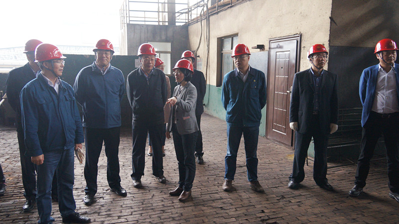 國(guó)家鋼鐵行業(yè)轉(zhuǎn)型升級(jí)調(diào)研組來(lái)淮鋼調(diào)研考察